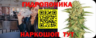 прущий лед Будённовск