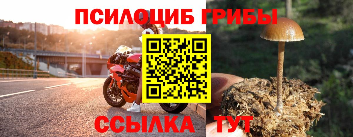 Псилоцибиновые грибы прущие грибы Куйбышев